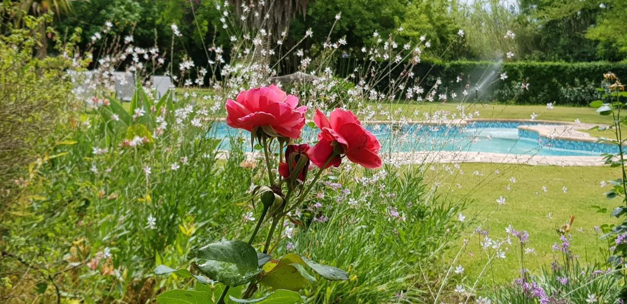 Hopefield Country House Addo Exteriör bild